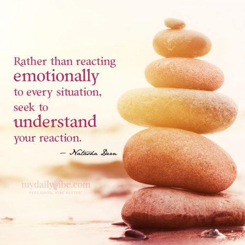 Understand Your Reaction by Natasha Dern