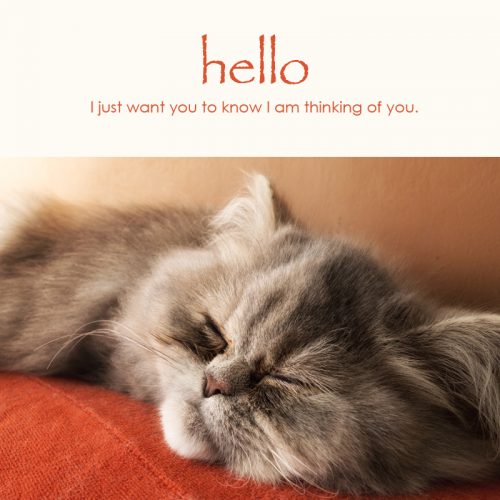 Hello e-card: I just want you to know I am thinking of you — $1.95