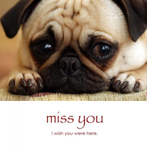 Miss you e-card: I wish you were here — $1.95