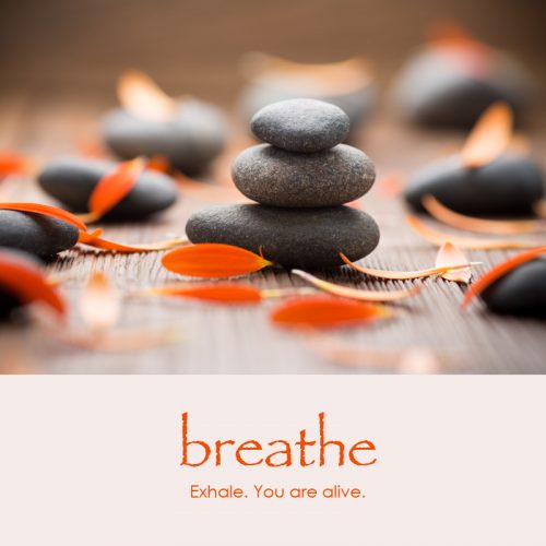 Breathe e-card: Exhale. You are alive. — $1.95