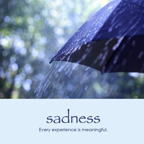 Sadness e-card: Every experience is meaningful — $1.95