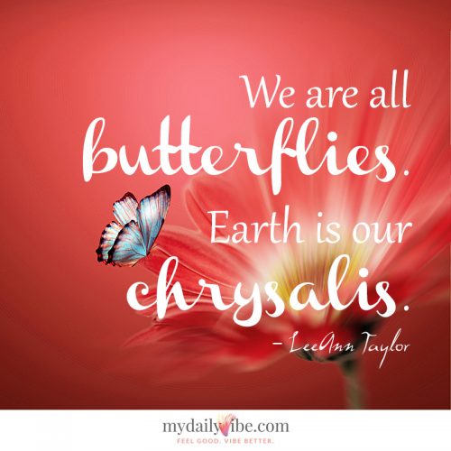 We Are all Butterflies by LeAnn Taylor