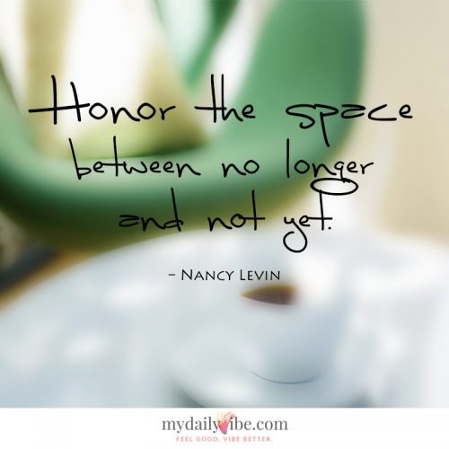 Honor the Space by Nancy Levin