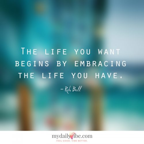 The Life You Want by Rob Bell