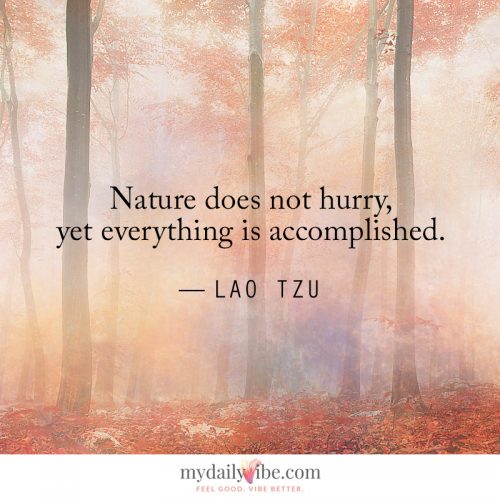 Nature Does Not Hurry by Lao Tzu