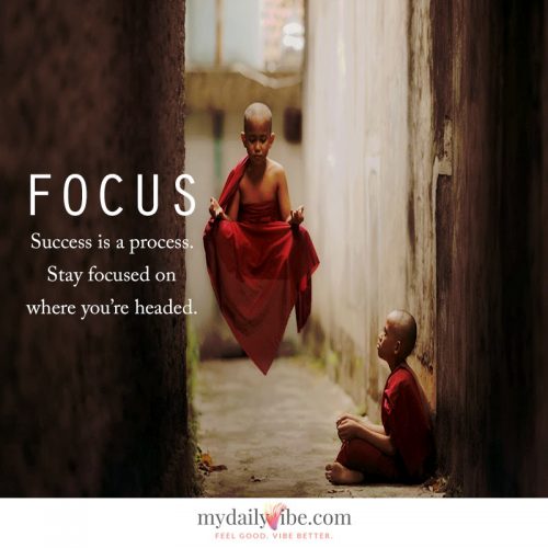 Focus by MDV