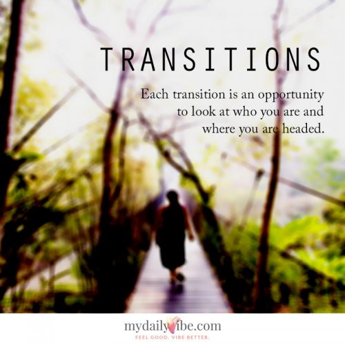 Transitions – MDV