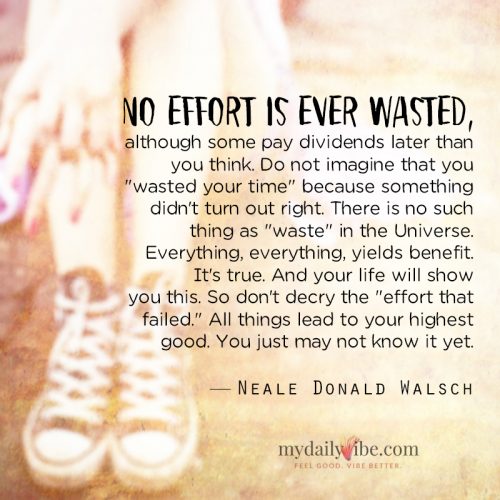 No Effort Is Ever Wasted by Neale Donald Walsch